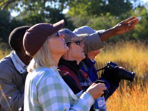 birding guided hike